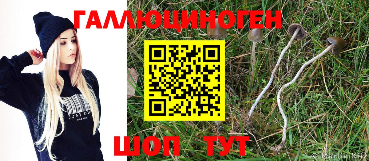 Карпинск  где можно купить   Галлюциногенные грибы ЛСД  Вход с VPN  Галлюциногенные грибы мухоморы 